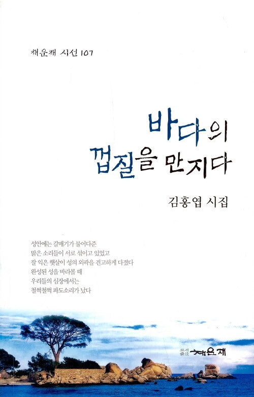 바다의 껍질을 만지다(채운재 시선 107)