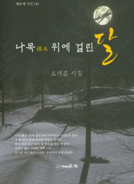 나목 위에 걸린 달(채운재시선 120)