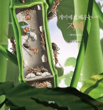 개미에게 배우는 지혜(최재천 교수의 어린이 개미 이야기 5)(양장본 Hardcover)