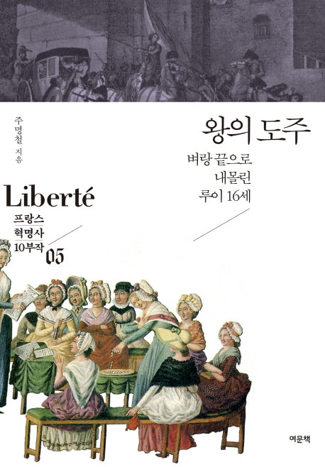 왕의 도주(프랑스 혁명사 10부작 5)