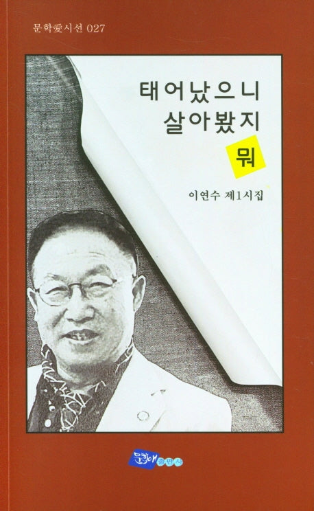 태어났으니 살아봤지 뭐(문학애시선 27)