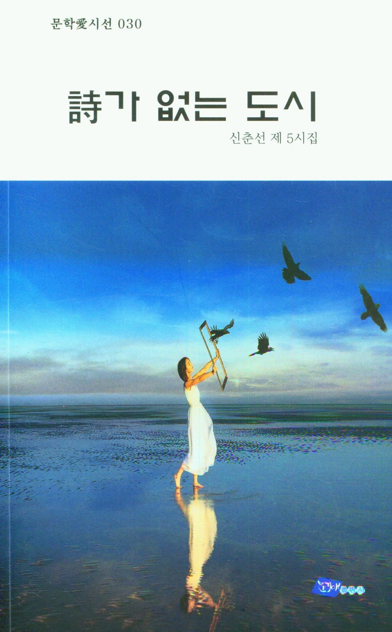 시가 없는 도시(문학애시선 30)