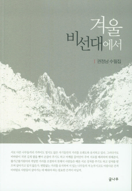 겨울 비선대에서