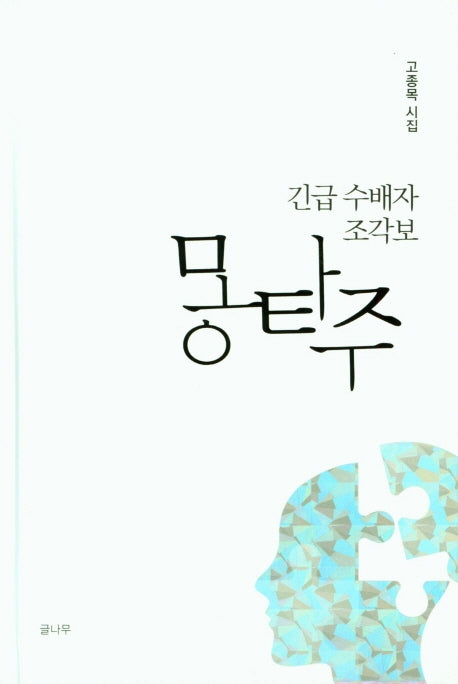 긴급 수배자 조각보 몽타주(양장본 Hardcover)