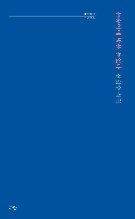 눈송이에 방을 들였다(파란시선 26)