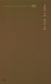 비금속 소년(파란시선 28)