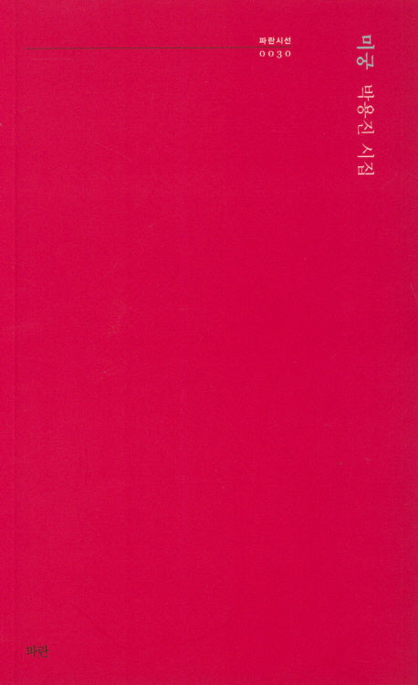 미궁(파란시선 30)