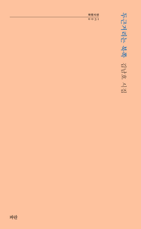두근거리는 북쪽(파란시선 31)