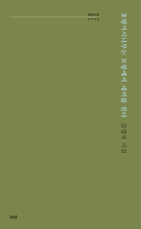 호랑가시나무는 모항에서 새끼를 친다(파란시선 35)