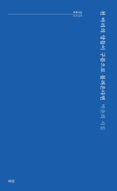 천 마리의 양들이 구름으로 몰려온다면(파란시선 36)