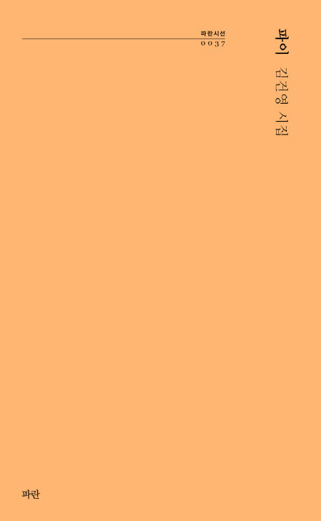 파이(파란시선 37)