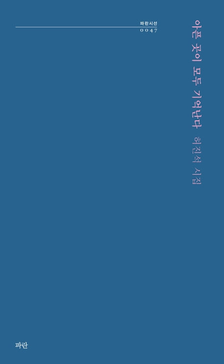 아픈 곳이 모두 기억난다(파란시선 47)