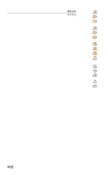 처음은 처음을 반복한다(파란시선 63)