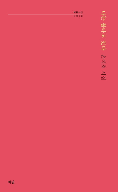나는 불타고 있다(파란시선 72)