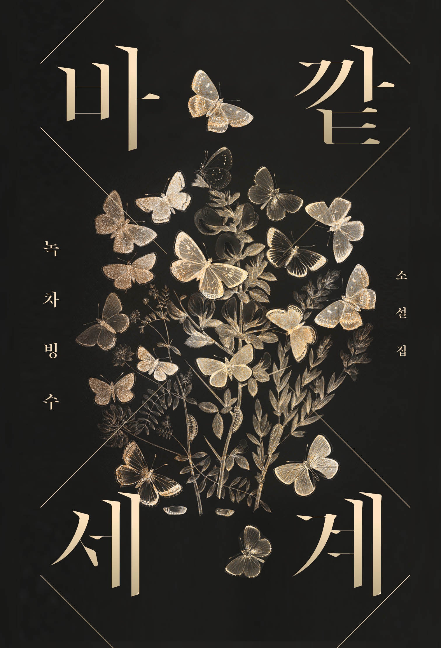 바깥세계