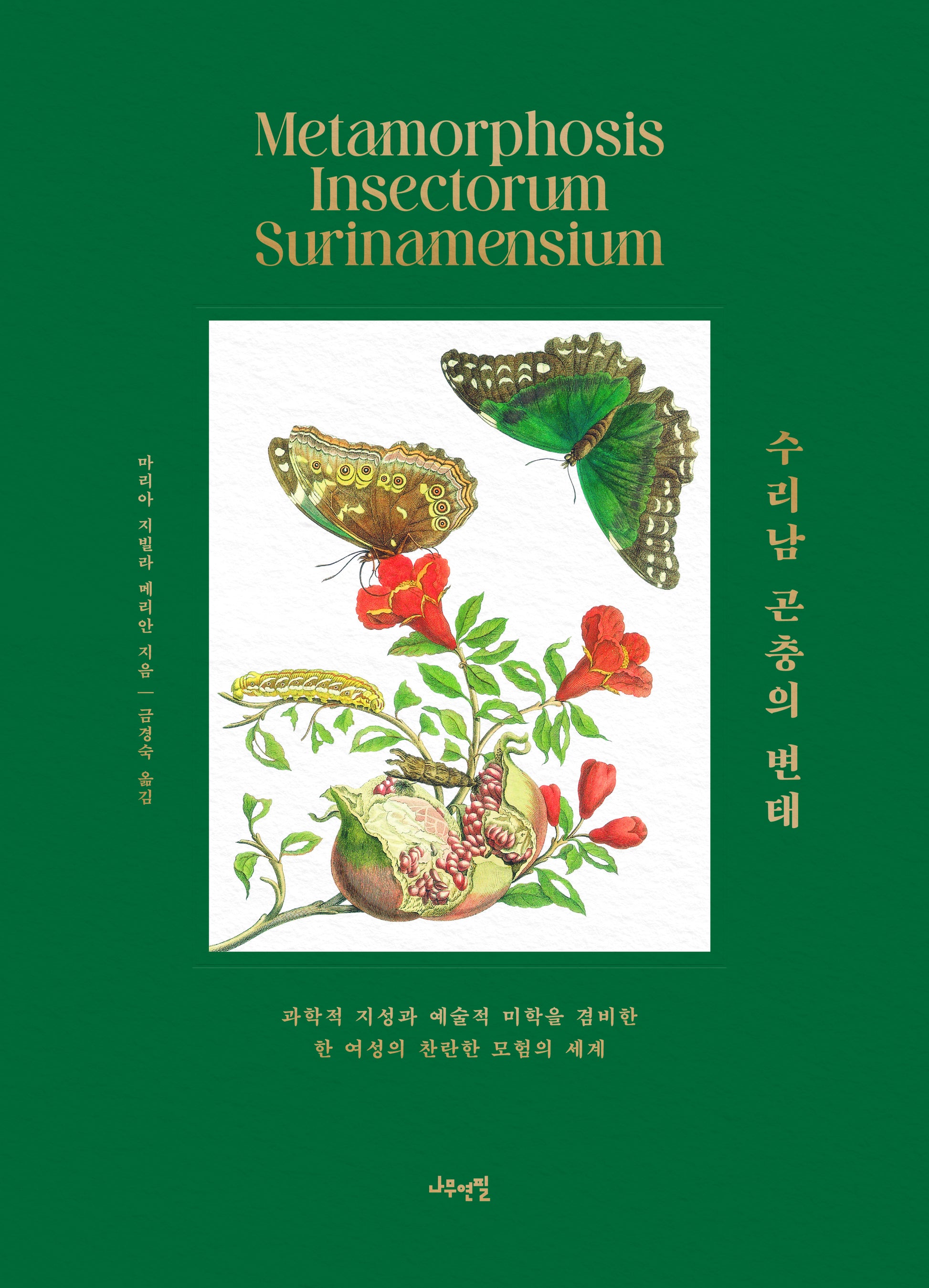 수리남 곤충의 변태