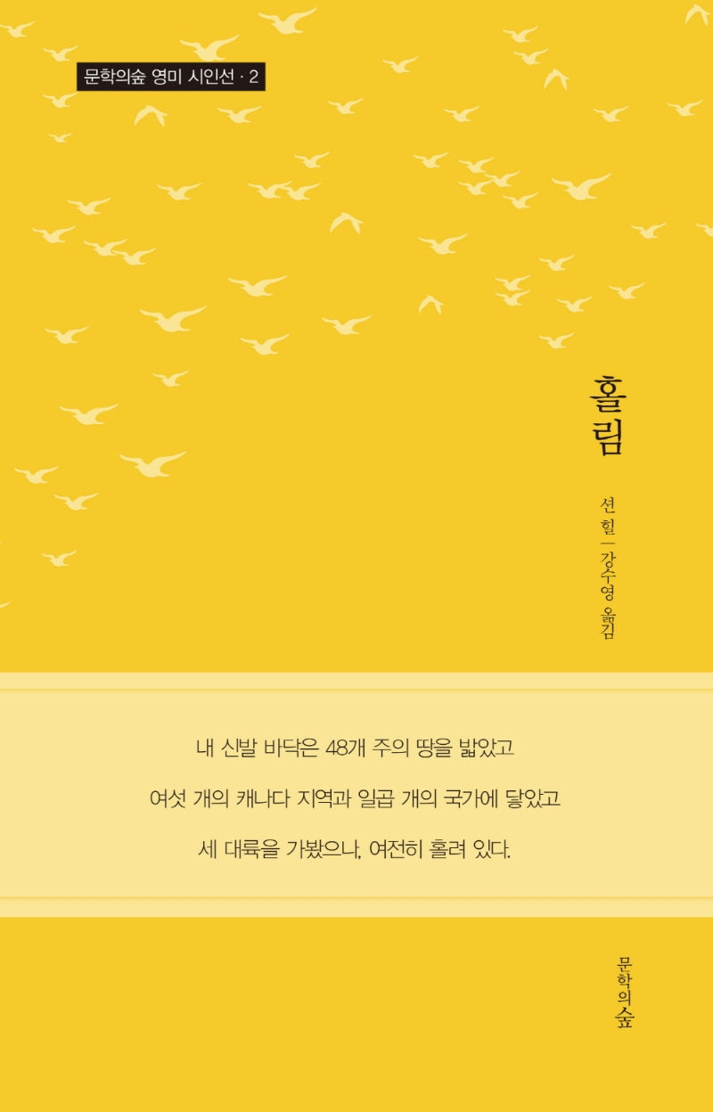 홀림(문학의 숲 영미시인선 2)
