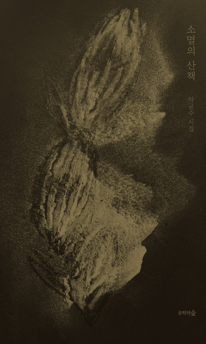 소멸의 산책