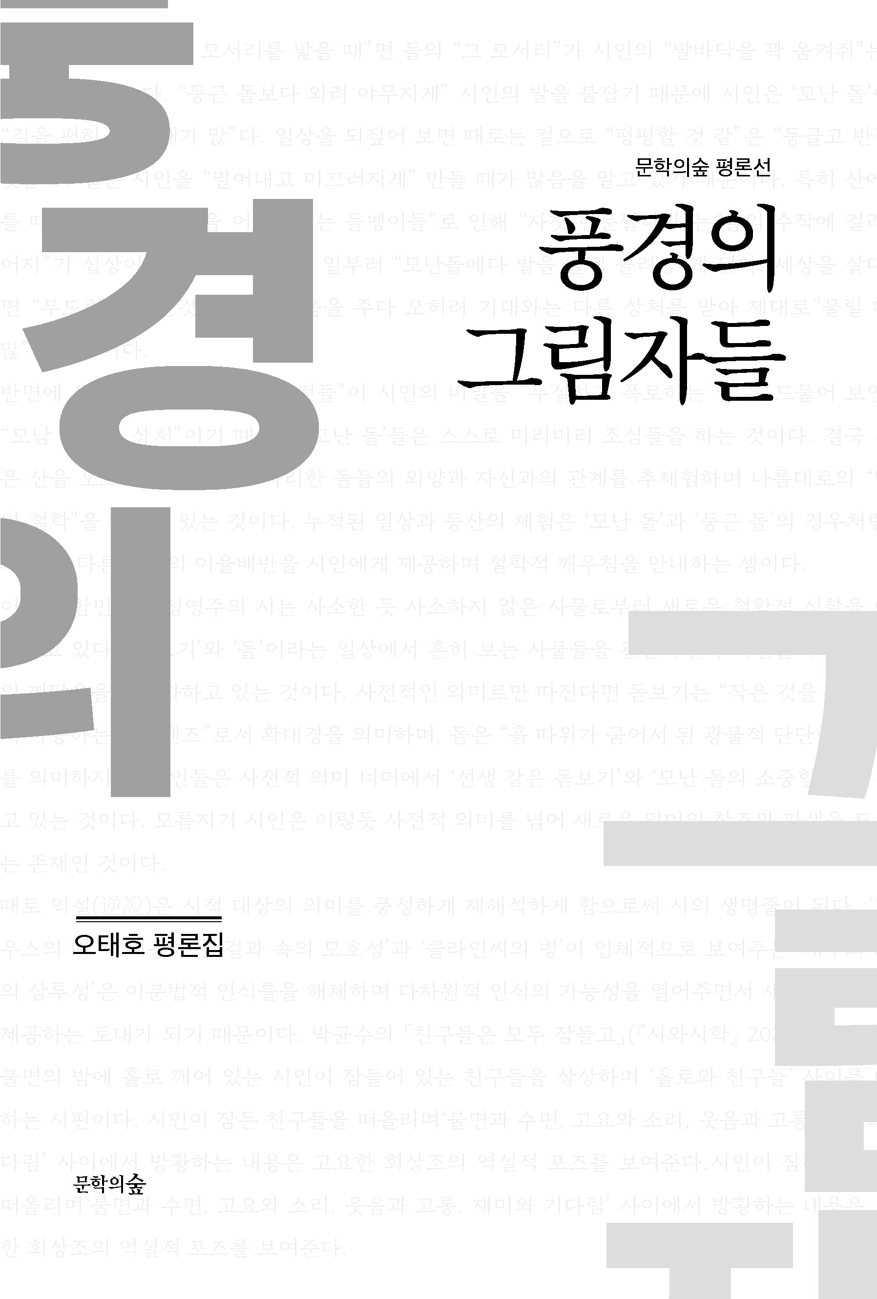 풍경의 그림자들(문학의숲 평론선)