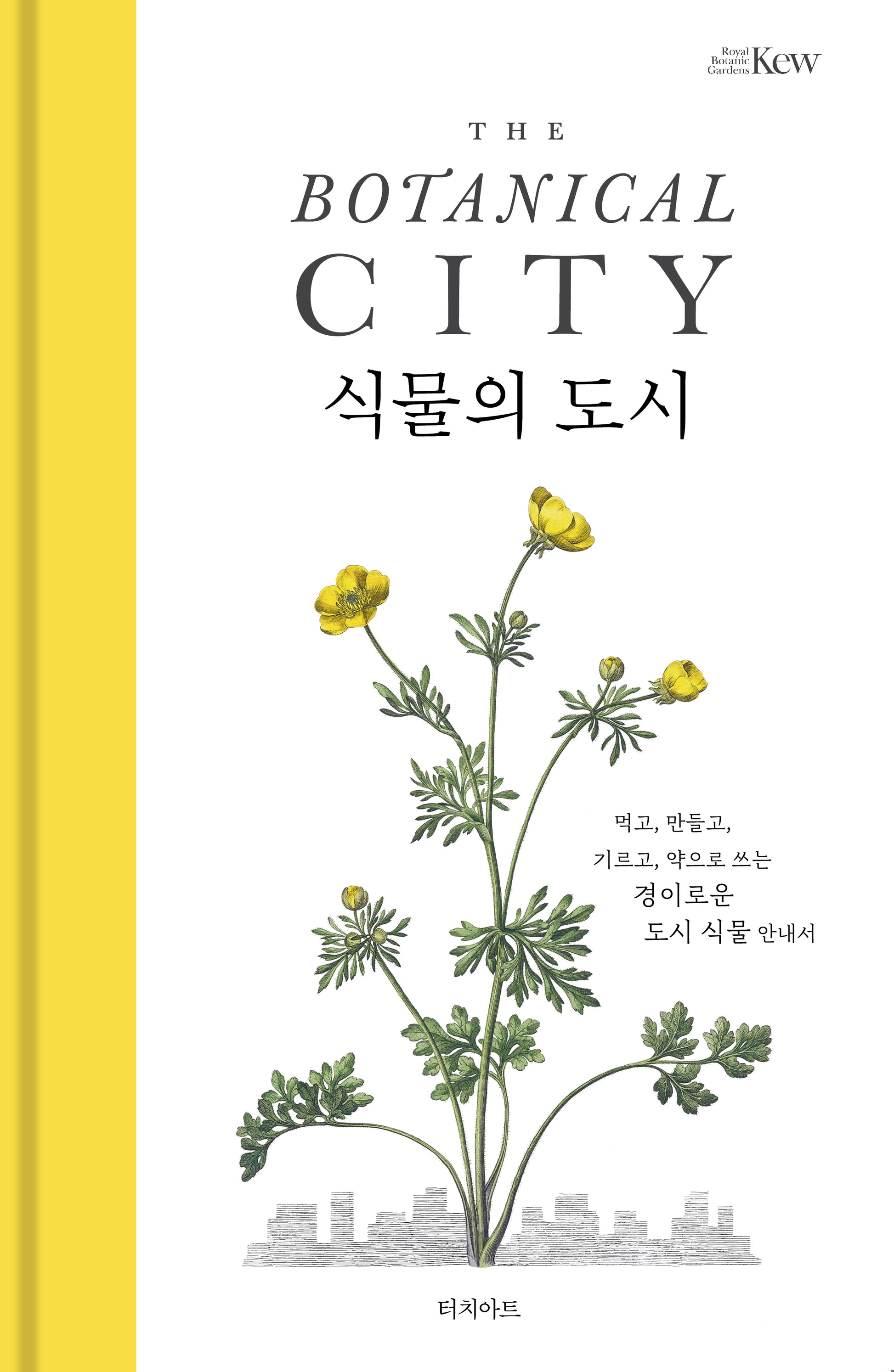 식물의 도시(양장본 Hardcover)