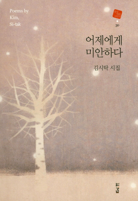 어제에게 미안하다(경남대표시인선 30)