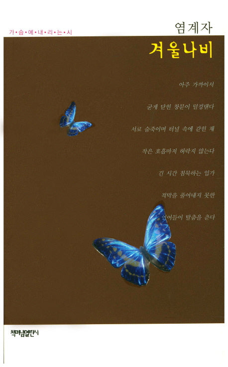 겨울나비(가슴에내리는시 66)