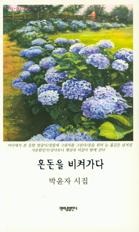 혼돈을 비켜가다(가슴에내리는시 77)