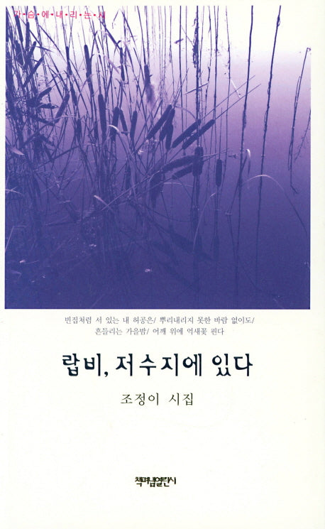 랍비, 저수지에 있다(가슴에내리는시 78)