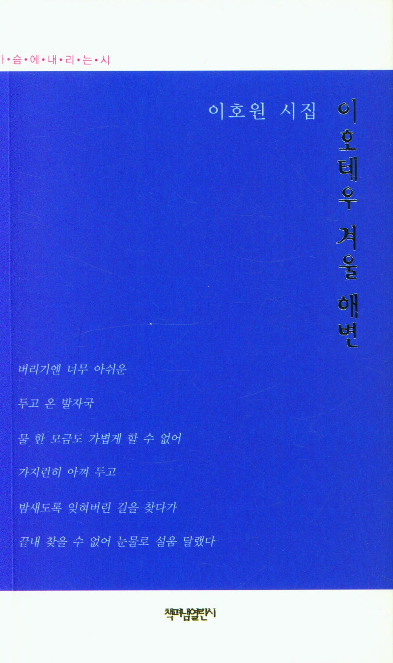 이호테우 겨울해변