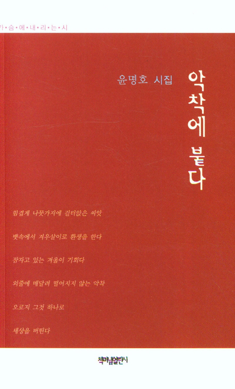 악착에 붙다