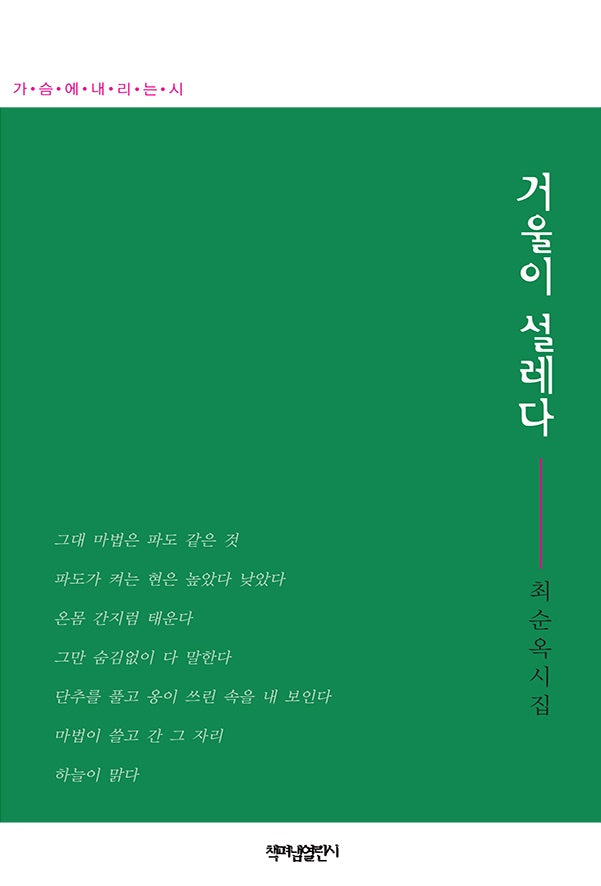 거울이 설레다(가슴에 내리는 시 139)