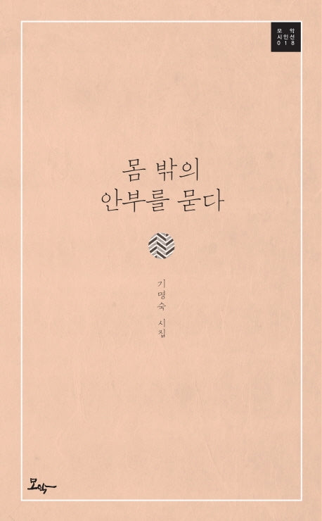 몸 밖의 안부를 묻다(모악시인선 18)