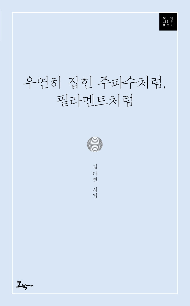 우연히 잡힌 주파수처럼, 필라멘트처럼(모악 시인선 26)