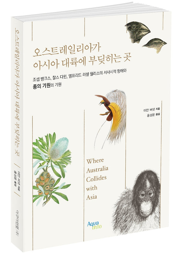 오스트레일리아가 아시아 대륙에 부딪히는 곳