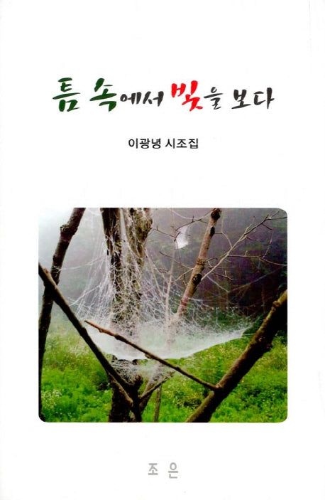 틈 속에서 빛을 보다