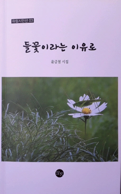 들꽃이라는 이유로(하림시인선 3)