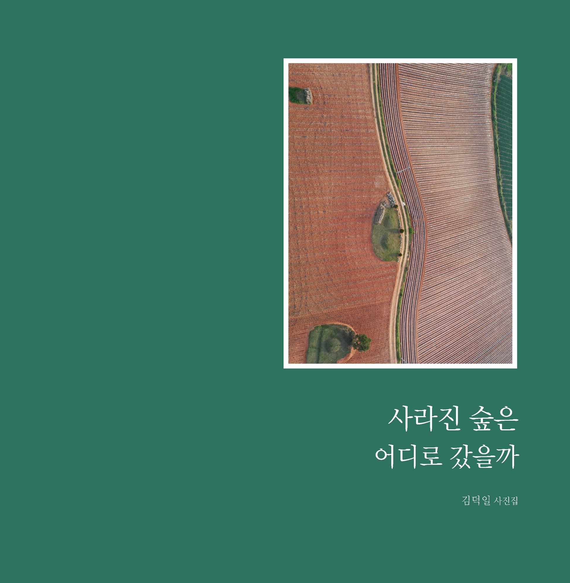 사라진 숲은 어디로 갔을까