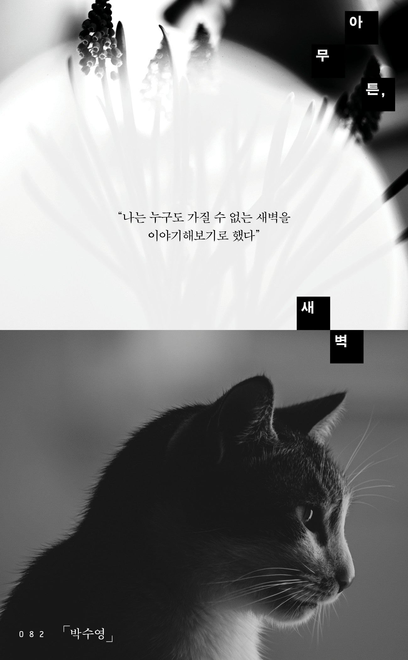 아무튼, 새벽(아무튼 시리즈 82)