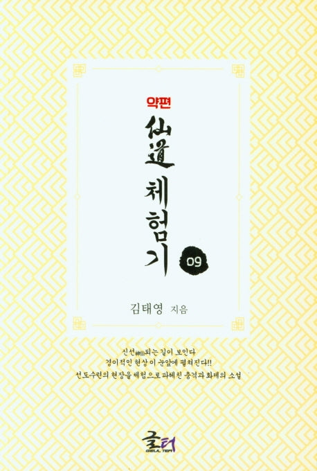 약편 선도체험기 9