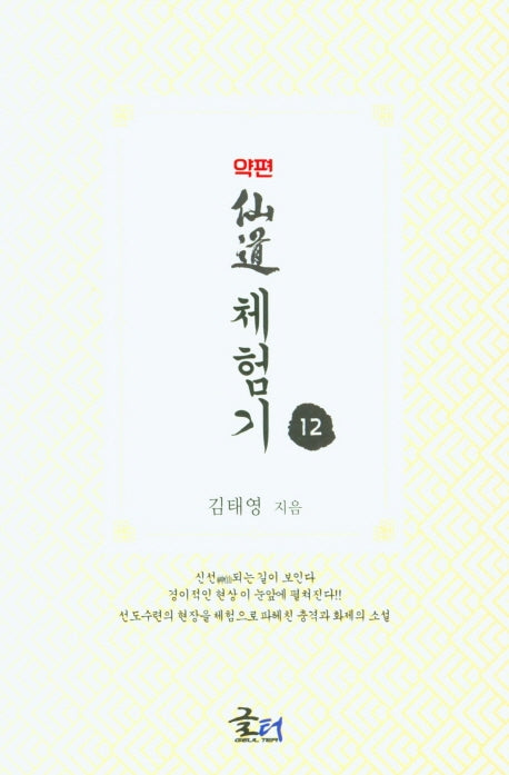 약편 선도체험기 12