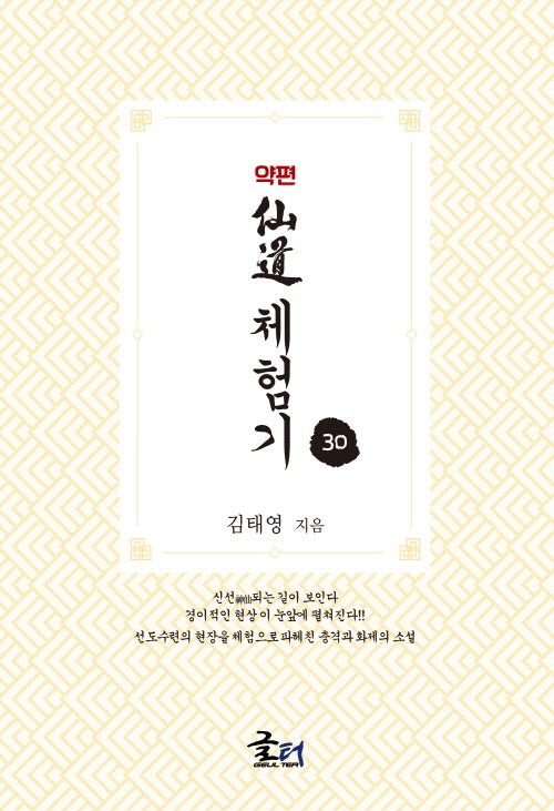 약편 선도체험기 30
