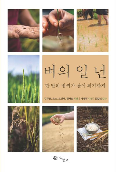 벼의 일 년