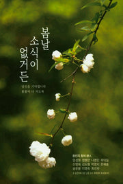 봄날 소식이 없거든