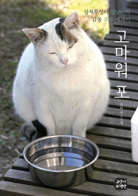 고마워 포
