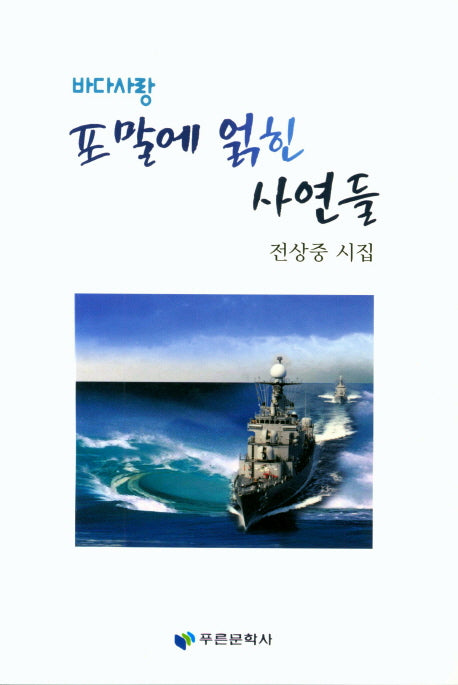 포말에 얽힌 사연들(바다사랑)(푸른문학선 139)