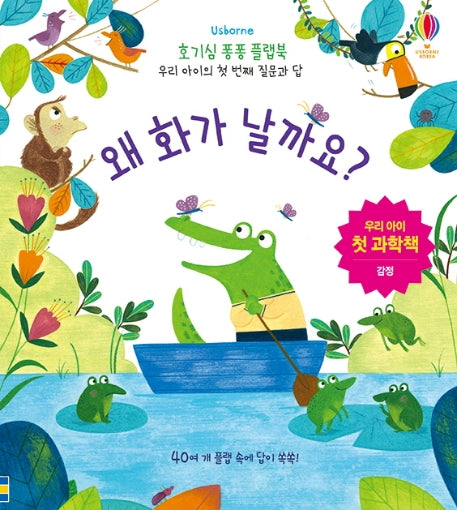 왜 화가 날까요?(Usborne)(호기심 퐁퐁 플랩북)(양장본 Hardcover)