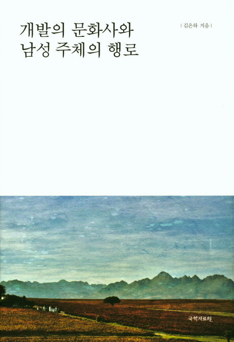 개발의 문화사와 남성 주체의 행로