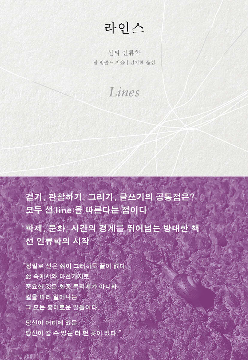 라인스
