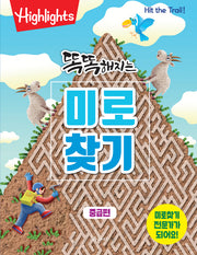 똑똑해지는 미로찾기: 중급편(개정판)