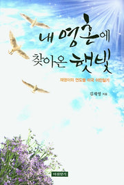 내 영혼에 찾아온 햇빛